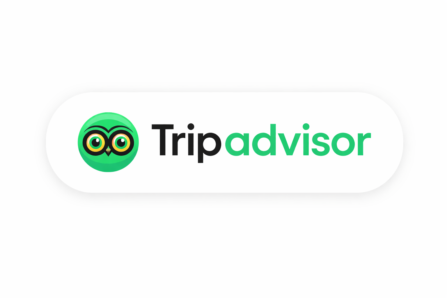 Tripadvisor Reviews